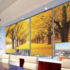 Rèm cuốn in tranh hình cây lá vàng mùa thu